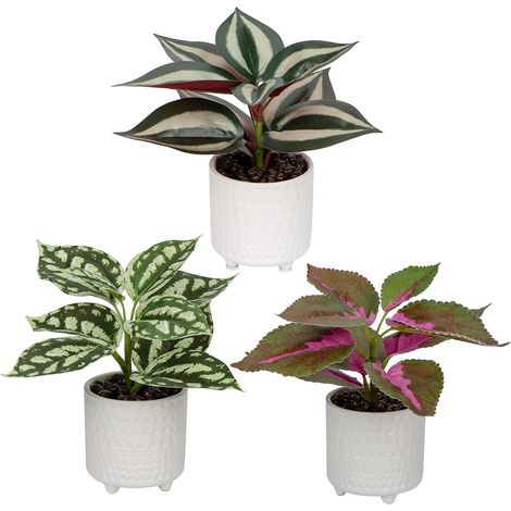 Lot de 3 Petites Plantes artificielles dans des Pots en céramique - Plantes artificielles décoratives en Pot - Plante réaliste - Plante d'intérieur pour la Maison, Le Bureau, la Cuisine (1/5)