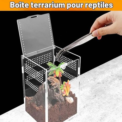 Terrarium Acrylique 20  12  12cm, Boîte d'alimentation d'Insectes Pinces à Coude, Boîte d'Élevage Animaux De Compagnie Rampant Portable, Conception Anti-Évasion (1/4)