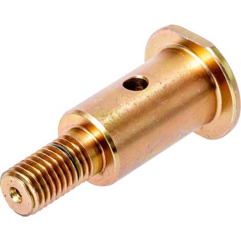 Tornillo CLAAS 0006306980 (1/2)