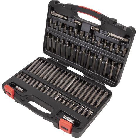 Sealey TRX-Star/Security TRX-Star/Hex/Ribe/Spline Bit Set 74pc 3/8"" & 1/2""Sq Drive AK21974P