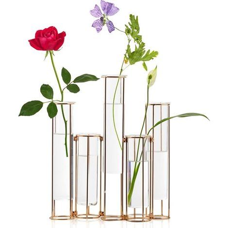 Juego de 5 tubos de ensayo para flores AIDUCHO, jarrón de vidrio con soporte de metal, jarrón para cultivo hidropónico, jarrón dorado con bisagras, juego de decoración para mesa del hogar. (1/5)