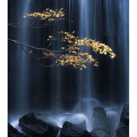 papier peint panoramique cascade bleu foncé, noir et jaune ocre - Sanders & Sanders (1/2)