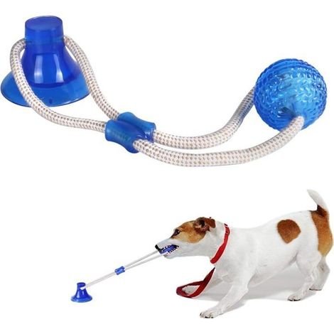 Jouet à ventouse pour chien, corde interactive multifonction pour tirer, mâcher
