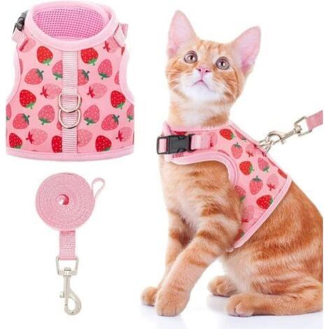 Harnais anti-fuite pour chat - harnais de promenade élégant en maille pour chat et chien, réglable pour chatons, chiots et petits animaux (1/5)