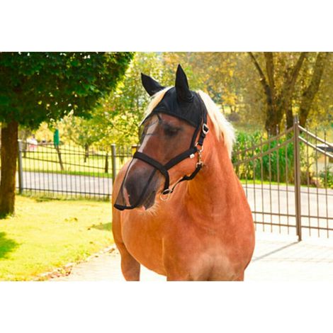 Halfter mit integr. Fliegen- schutzmaske, Gr. 3 (Warmblut)
