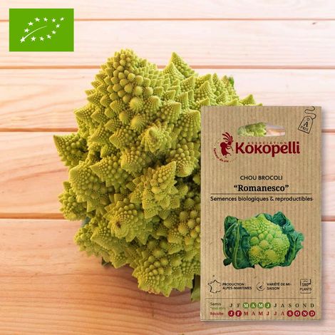 Chou Brocoli Romanesco