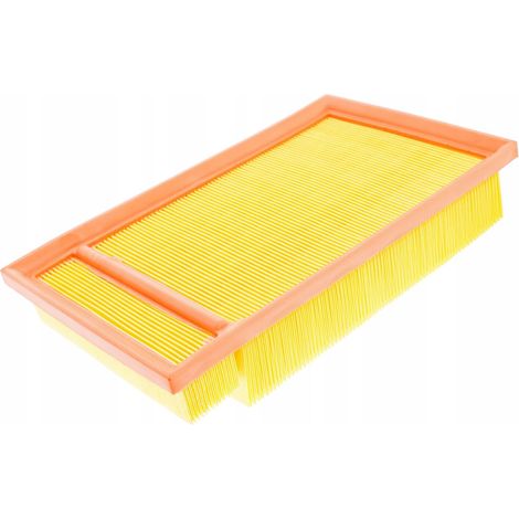 Filtre à air NISSAN PRIMERA (1/5)
