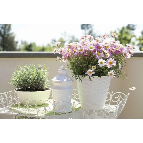 Portavaso Porta Vaso Panna Paglia D29 Cm H 27 Cm Bama 34031 Piante Fiori (1/3)