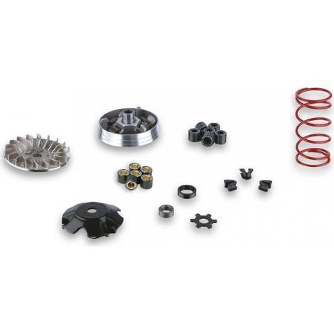 malossi variator für roller mbk 50 stunt 5112800 / multivar over