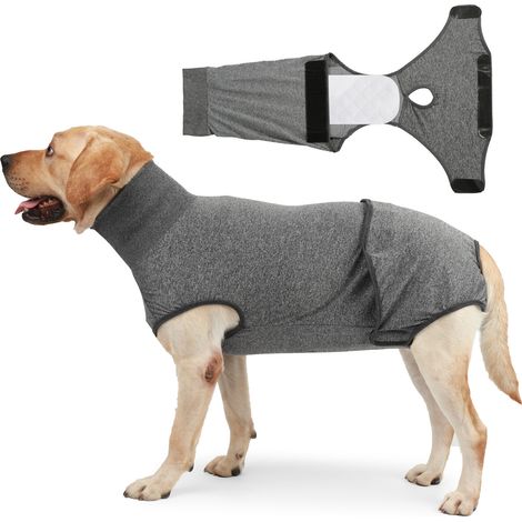 Chien Post operatoire Femelle Combinaison sterilisation Body pour Chien Castration Male t Shirt Medical Déguisements pour Chiens alternatives aux Collerettes pour Chiens