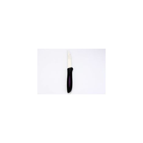 COUTEAUX A STEAK LUXE X6PCS (1/2)