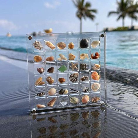 Abgebildetes Material: Magnetische Acryl-Vitrine für Muscheln, 36 transparente Acryl-Fächer für Muscheln.