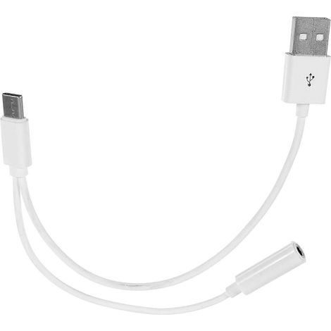 Adaptateur casque USB 3.1 Type-C vers double prise jack 3,5 mm, USB 3.1 Type-C mâle vers double prise audio AUX femelle 3,5 mm. (1/5)