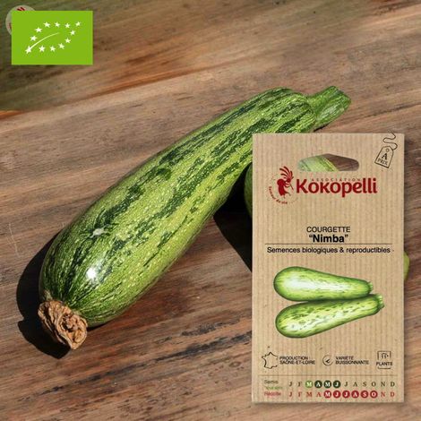 Courgette Nimba