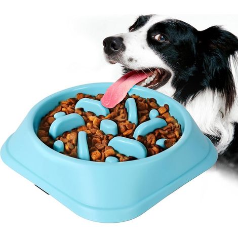 Gamelle anti-glouton pour chien (1/5)