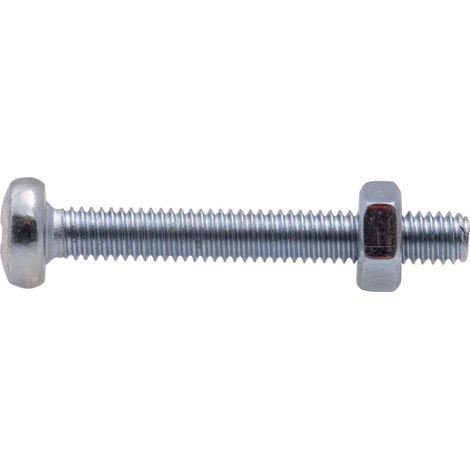 Vis à métaux zinguée tête cylindrique bombée PZ cruciforme Viswood Ø 6x30 mm (lot de 10 vis+écrou)