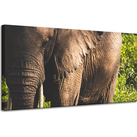 Leinwanddruck Tiere Elefant Nahaufnahme 120x60