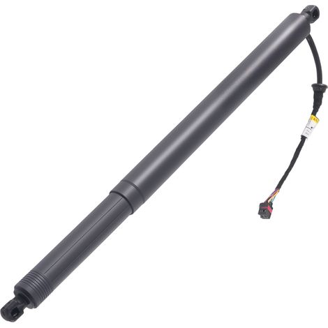Ammortizzatore Bagagliaio Posteriore Destro for Hyundai Palisade 81841S8100 (1/5)