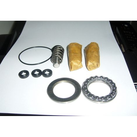KIT PISTONI TENUTE CUSCINETTO POMPA IDROPULITRICE ANNOVI REVERBERI 143 TWIN FLOW