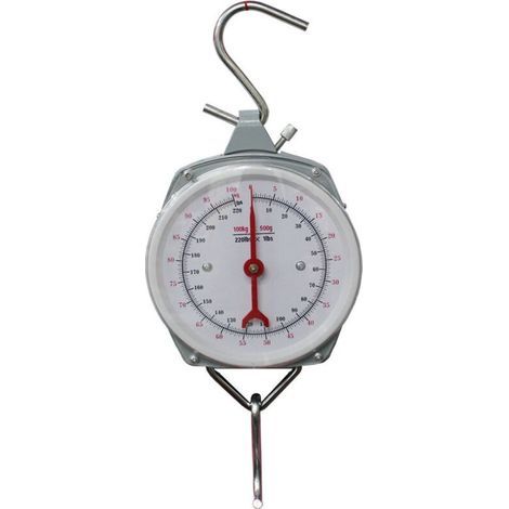 Professional 200 kg hanging scale crane scale loading scale scale scale scale of industrial scale First