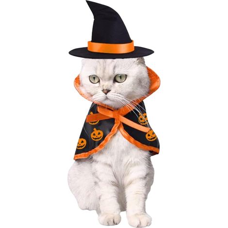 Costumes de Chat Halloween Déguisement Cape Manteau pour Chien Animaux de Compagnie avec Chapeau de Sorcièr Citrouille Tenue Cosplay Carnaval (1/4)