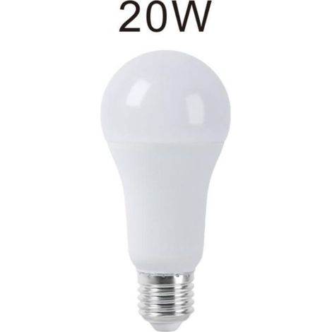 Lampadina Led 20W Luce Naturale E27 A60L Bulbo Bianco Opaco (1/5)