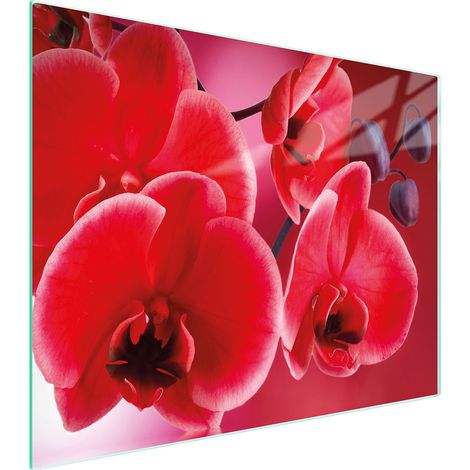 TABLA DE CORTAR DE VIDRIO 52x40 ORQUÍDEA (1/5)