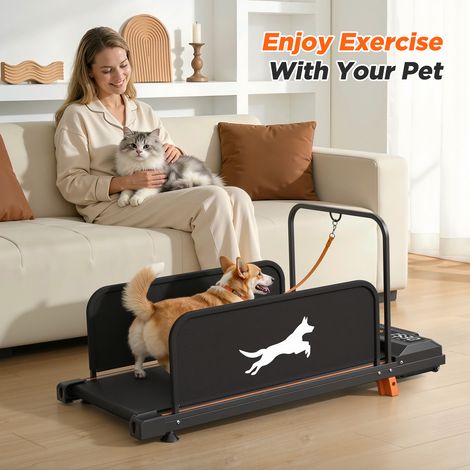 Tapis de course pour petit chien 2026 - Machine d'exercice silencieuse et robuste pour chiots en intérieur, roue de course portable, équipement d'entraînement canin (1/5)