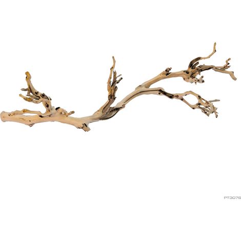 Exo-Terra Pie de Vid Arenado Grande Natural 60 cm (1/3)