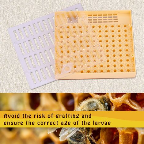 Kit Élevage Reines Ruche Outil Apiculture Plastique Coupe Cellules Royales Boîte Cage Set 3 Pièces (1/5)