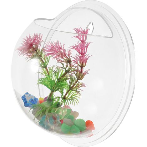 Petit pot mural générique en acrylique transparent pour la décoration hydroponique (1/5)