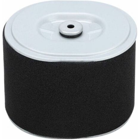 Filtre à Air Gx390 Filtre à Air Filtre à Air Af Ze28 Moteur Gx390 Pièces de Nettoyeur Haute Pression Gx390 294, Accessoire de Remplacement de Filtre à Air pour Tondeuse à Gazon pour Moteur Hond (1/5)