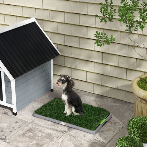 Baño para perros con 2 alfombrillas de césped artificial, 67 x 41 cm, verde DESVIAE (1/5)