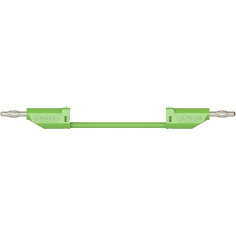 Schützinger MFK 15 / 2.5 / 100 / GN Cavo di misura 100 cm Verde 1 pz.