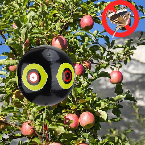 Baudruche gonflable antioiseaux prédateur noir - Ballon effaroucheur oiseaux terror (1/5)