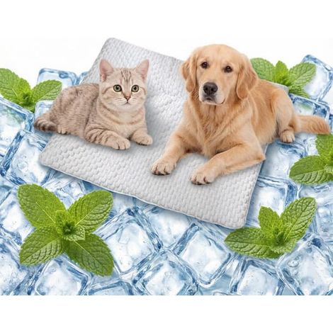 Tapis rafraîchissant pour chiens et chats - Couverture et coussin rafraîchissants pour animaux de compagnie - Idéal pour la maison, les voyages et la voiture - Gris - 50 x 40 cm (1/5)