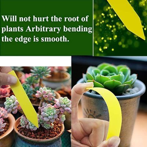 Packung mit 200 wasserfesten Kunststoffetiketten für Gartenpflanzen (5 x 1 cm), ideal für die Aussaat von Freilandpflanzen und Topfblumen, gelb. (1/3)