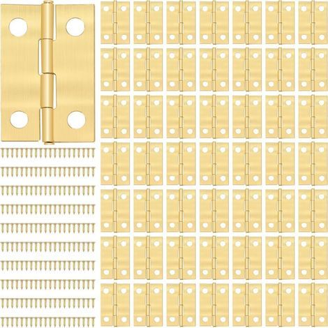 Petites Charnières Mini Charnière avec 200pcs Vis Charnière Miniature pour DIY Boîte Modèle Jouet Ouvrages D'art Artisanat 24 16mm Doré 50 Pièces-Karteo (1/5)