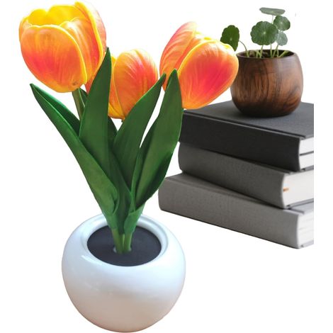 Lampe Fleur de Table Éclairage Romantique Rechargeable par (1/5)
