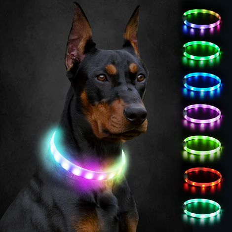 Collier Lumineux Chien Rechargeable USB-C, 9 Modes LED, 70 cm Visible la nuit, Découpable à la longueur voulue, Silicone souple, Résiste aux éclaboussures, Pour petits à grands gabarits (1/5)