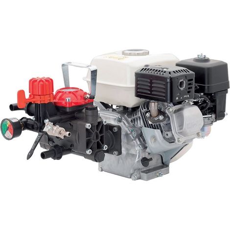 Motopompa Irrorazione 4T Motore Honda Gp-160 IR25HP1 (1/3)