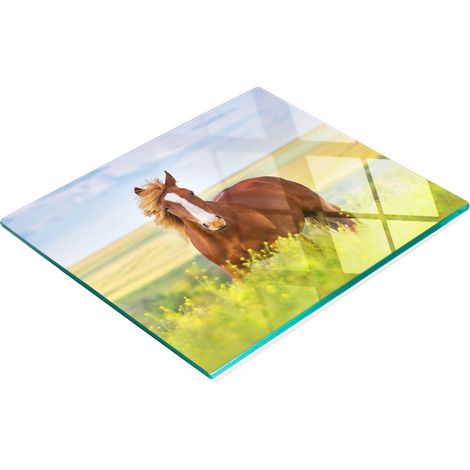 Tabla de cocina de vidrio templado con gr谩ficos decorativos de caballo marr贸n, 60x52 cm (1/5)