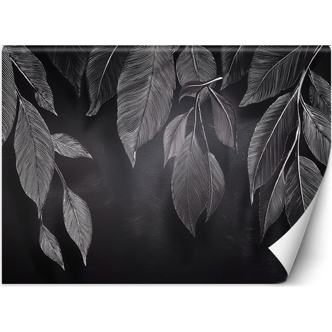Fototapete Minimalismus Blätter Pflanzen Schwarz & Weiß 250x175 cm (1/5)