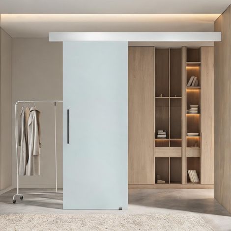 Porte coulissante vitrée translucide 90 x 205 cm avec rail (1/5)