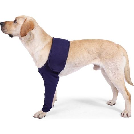 Manicotti anti-leccamento per le zampe anteriori dei cani, per uso esterno, protezione per le zampe dei cani, manicotti anti-leccamento, protezione anti-leccamento per le zampe degli animali domestici (1/4)