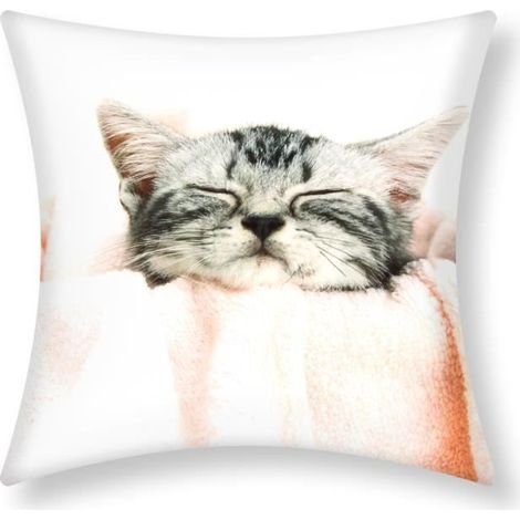 Housses de Coussin - AVIZAR - 40x40 cm - Motif Chaton - Multicolore - Design Contemporain