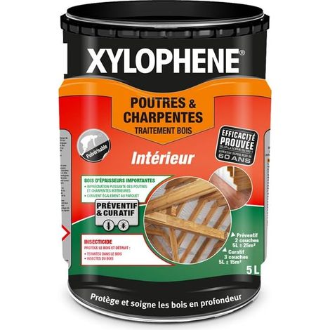 Traitement Poutres & Charpentes - Anti Insectes - Traite les Bois de Charpente - Incolore - 5 l