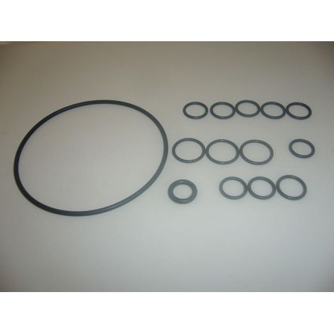 KIT ORING GUARNIZIONI IDROPULITRICI POMPE LAVORWASH ORIGINALI 6.005.0075