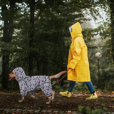 Poncho de pluie pour chiens avec hottes et collier pour chiens Hoodies réfléchissantes pour chiens petits et grands (1/4)