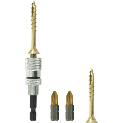Kit portapunte magnetico, 2 punte PZ2, 50 viti per legno Rocket 4x40 mm TX20
